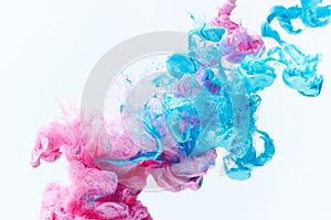 Pink and blue paints splash curves in water on white