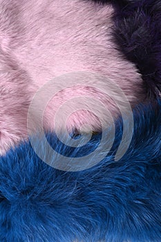 Pink and blue rabbit fur background texture on the wooden table