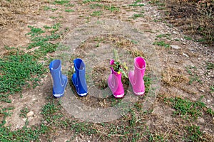 Pink and blue rubber boots in the field with grapes.