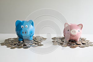 Pink and blue two piggy bank with coins pile, step up helping business to success and saving for retirement concept