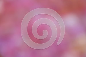 Pink Blur Background - Nature Stock Photos