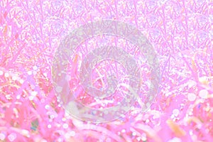 Pink bokeh abstract backgrounds