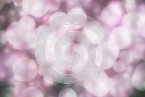 Pink Bokeh Background