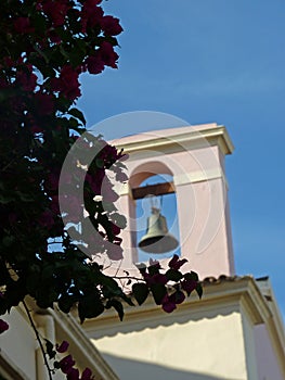 Pink bougainvillaea with church photo