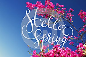 Pink bougainvillea flowering branches on a background of blue sky with letters Hello sprint