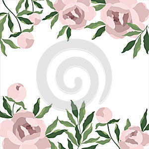 Pink bouquet peony flower and leaves, vector drawing template card frame