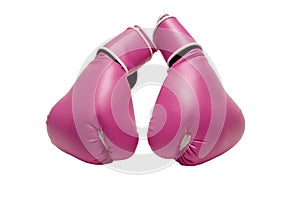 Pink Boxing Gloves