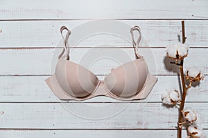 Pink bra with cotton brunch on white wooden background, closeup