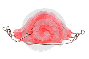 pink braces isolated