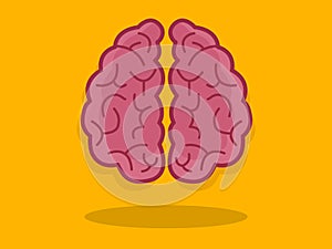 Pink brain on a yellow background, with a faint shadow below