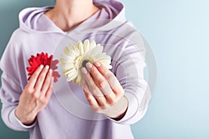 Pink Breast Cancer Awareness Ribbon. Female hands holding red and white gerbera on blue backgrounds. Breast cancer awareness and