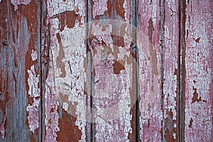 Pink and brown real Wood Texture Background. Vintage and Old.
