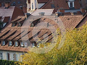 Pink buildings with brown rooftops, chimneys and windows