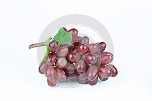 Pink bunch with leaves isolated on white. Vitis vinifera