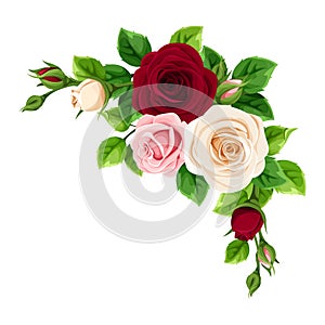 Pink, burgundy and white roses. Vector illustration.