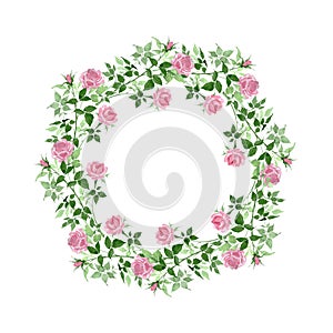 Pink bush roses floral botanical flowers. Watercolor background illustration set. Frame border ornament square.