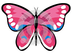 Pink butterfly