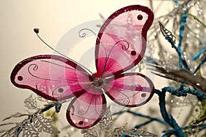 Pink Butterfly