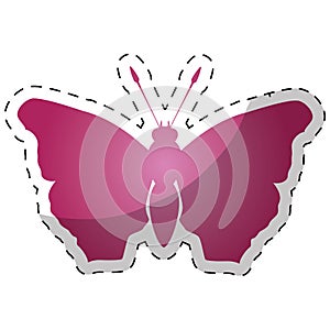 Pink butterfly feminist defense design