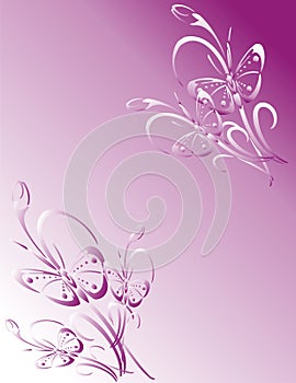Pink butterfly frame photo