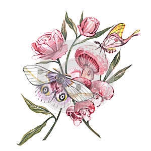 Pink butterfly, peony flower, bud, mushrooms isolated on white background. Watercolor hand drawn llustration for design