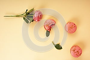 A pink cake macaroon, one of which is bitten on a pink background and a pink rose flower