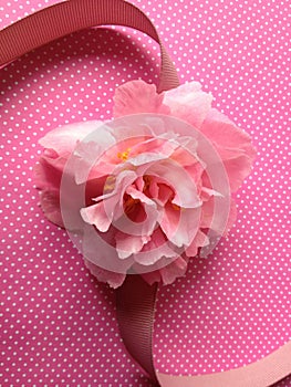 Pink camellia on polka dots with ribbon