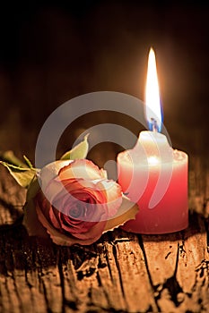 Pink Candle And White Rose On Rustic Wood photo
