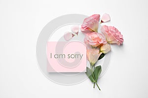 Pink card with phrase I Am Sorry and Eustoma flowers on white background, flat lay