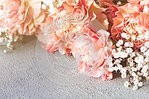 Pink carnation flowers bouquet on gray background
