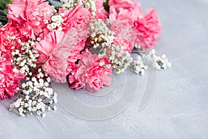 Pink carnation flowers bouquet on gray background.
