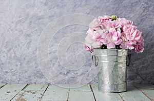 Pink carnation flowers in zinc bucket