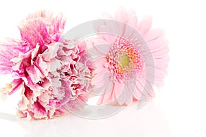 Pink carnation and gerber flowers