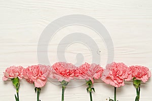 Pink carnation on white wooden background, border