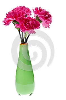 Pink carnations in green vase