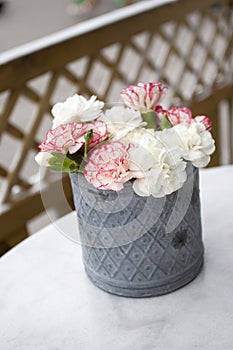 Pink carnations on table