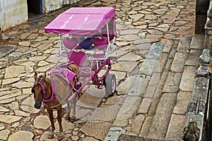 Pink carriage and horse, Tiradentes, Minas Gerais