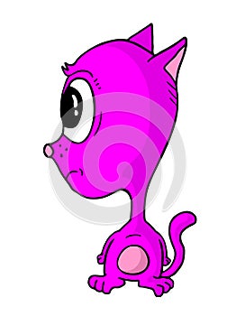 Pink cat