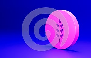 Pink Cereals set with rice, wheat, corn, oats, rye, barley icon isolated on blue background. Ears of wheat bread symbols