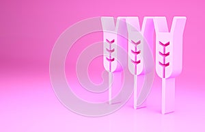 Pink Cereals set with rice, wheat, corn, oats, rye, barley icon isolated on pink background. Ears of wheat bread symbols
