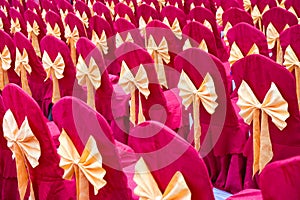 Pink chairs with bowknot