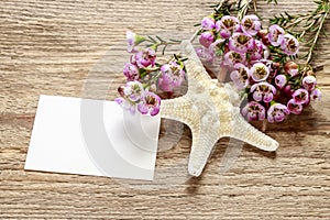 Pink chamelaucium wax flower and starfish on wooden background