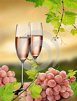 Pink champagne and grapevine