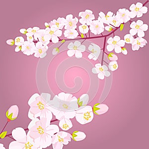 Pink Cherry blossom on branch with bud or shoots. Empty copyspace with floral border. Vector illustration.