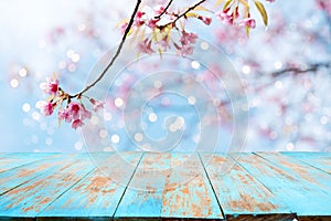 Pink cherry blossom flower sakura on sky background in spring season.