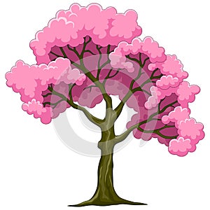 pink cherry blossom tree with pink flowers