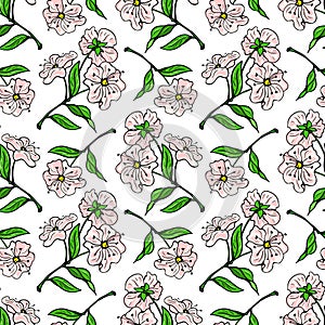 Pink cherry flowers and green leaves. Seamless pattern set. Vector illustration