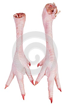 Pink chicken feet with claws