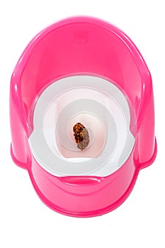 A pink children`s potty