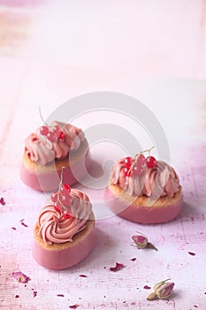 Pink Chocolate Ruby and Red Currant Mini Cakes